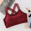Nouveau Soutien-Gorge de Sport Sans Couture à la Mode pour Femmes, Haut de Fitness, Soutien-Gorge de Yoga de Gymnastique Antichoc, Soutien-Gorge de Sport Push-Up, Haut Court de Course, de Yoga et de Gymnastique, Soutien-Gorge d'Entraînement Respirant