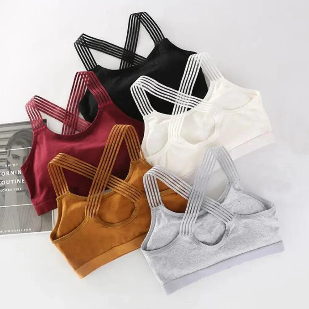 Nouveau Soutien-Gorge de Sport Sans Couture à la Mode pour Femmes, Haut de Fitness, Soutien-Gorge de Yoga de Gymnastique Antichoc, Soutien-Gorge de Sport Push-Up, Haut Court de Course, de Yoga et de Gymnastique, Soutien-Gorge d'Entraînement Respirant