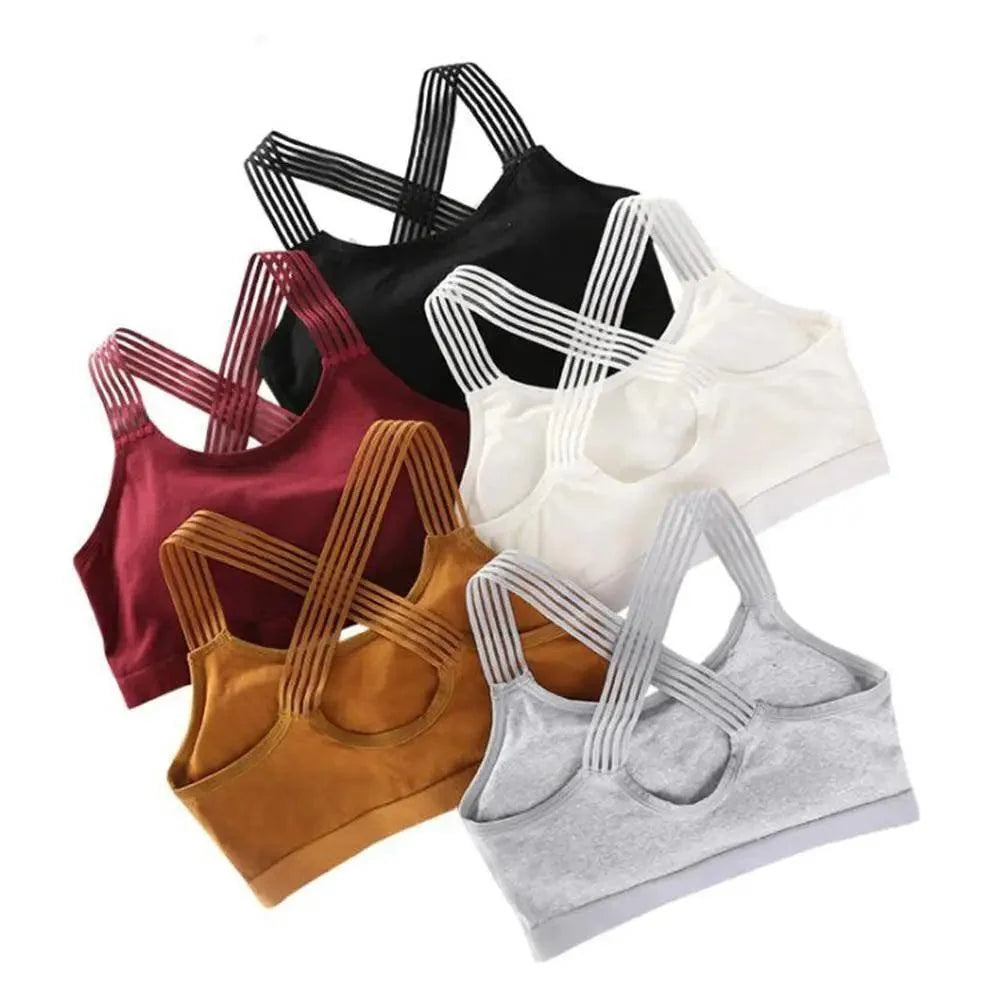 Nouveau Soutien-Gorge de Sport Sans Couture à la Mode pour Femmes, Haut de Fitness, Soutien-Gorge de Yoga de Gymnastique Antichoc, Soutien-Gorge de Sport Push-Up, Haut Court de Course, de Yoga et de Gymnastique, Soutien-Gorge d'Entraînement Respirant