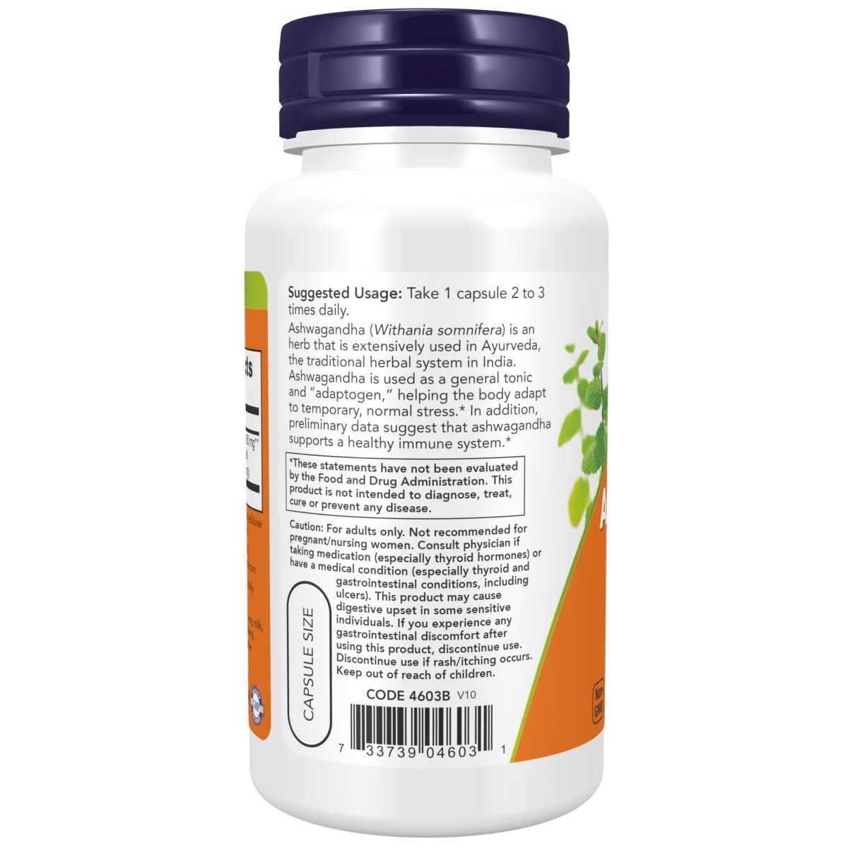 Now Foods Ashwagandha 450 mg 90 gélules végétales - 4603