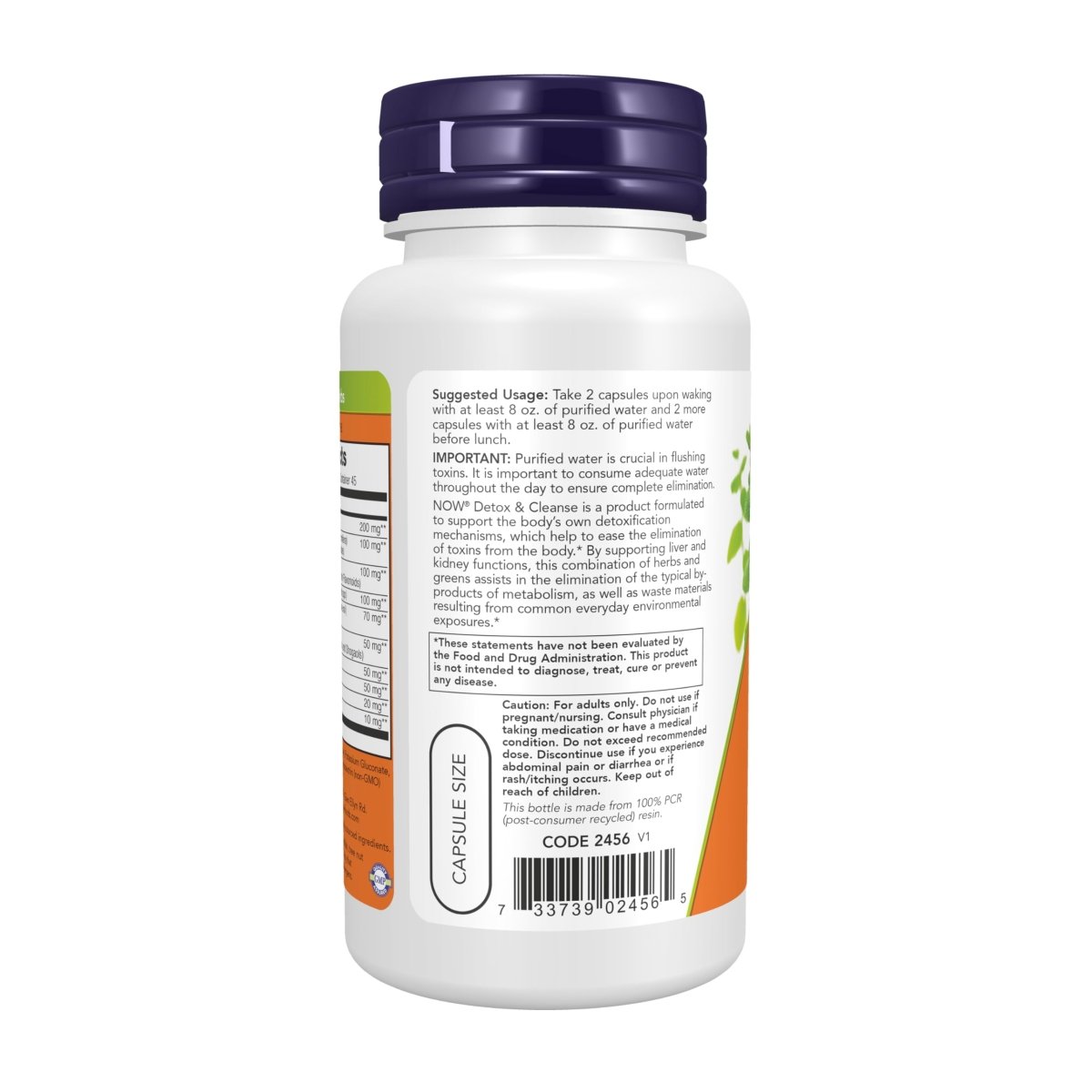 NOW Supplements, Detox and Cleanse, 90 Veg Capsules, Liver and Kidney