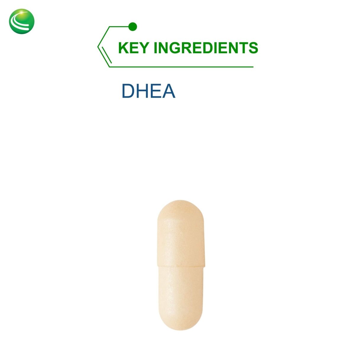 Nutra BioGenesis - DHEA TR - - 10 mg, 120 gélules