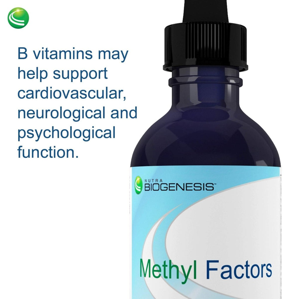 Nutra BioGenesis Methyl Factors Saveur Baies 2 oz PN