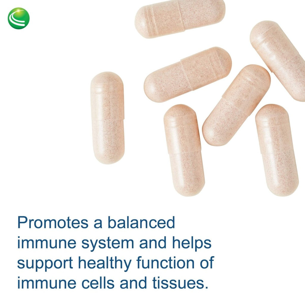 Nutra BioGenesis - Sterol 117 - Plant Sterols and Pine Bark Extract to Help Support Immunity, Urinary Tract Health and Cholesterol Already Within Normal Range - 30 Capsules