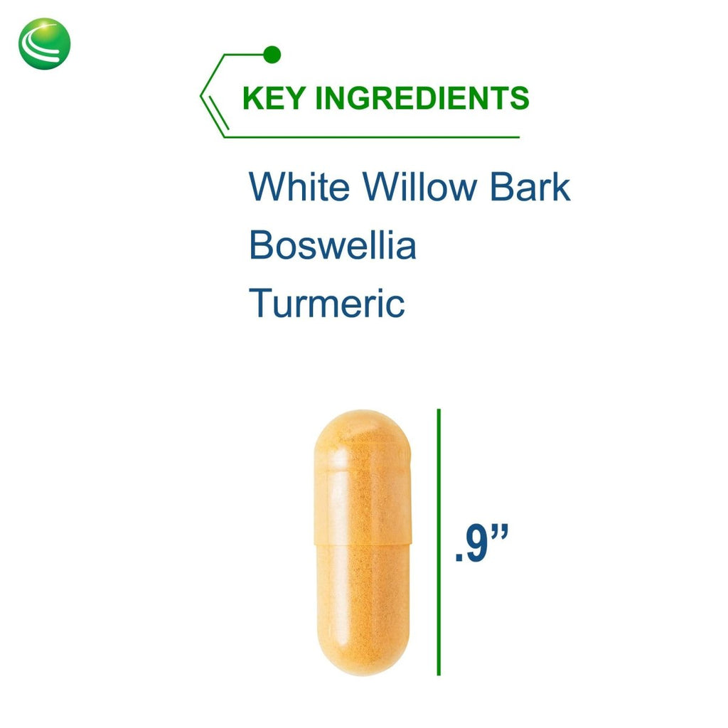 Nutra BioGenesis - Saule Blanc Forte - 120 Gélules