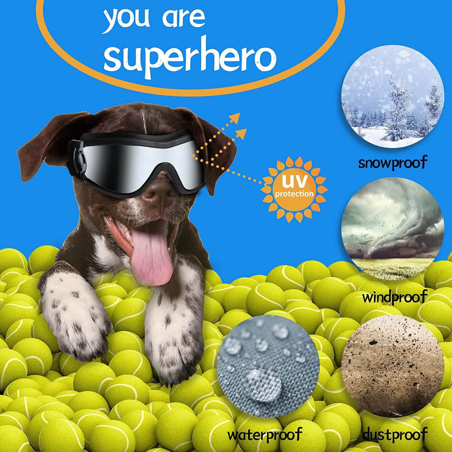 Lunettes de soleil pour chien NVTED avec sangle réglable pour chien moyen ou grand