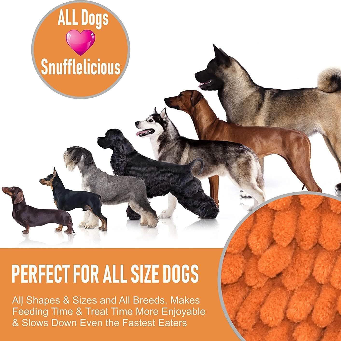 Notre tapis de fouille K9 Training Made Easy