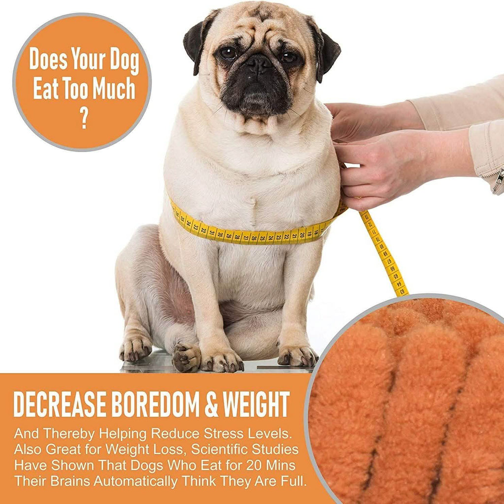 Notre tapis de fouille K9 Training Made Easy
