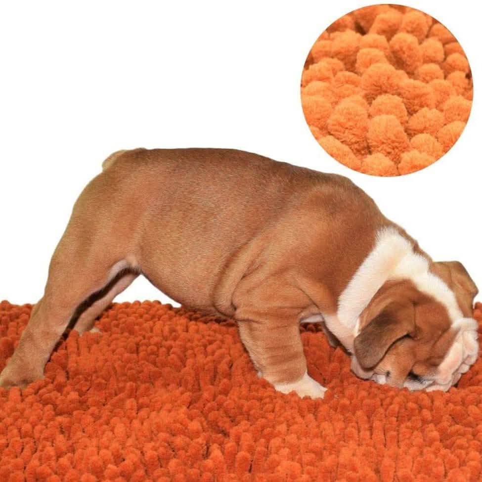 Notre tapis de fouille K9 Training Made Easy