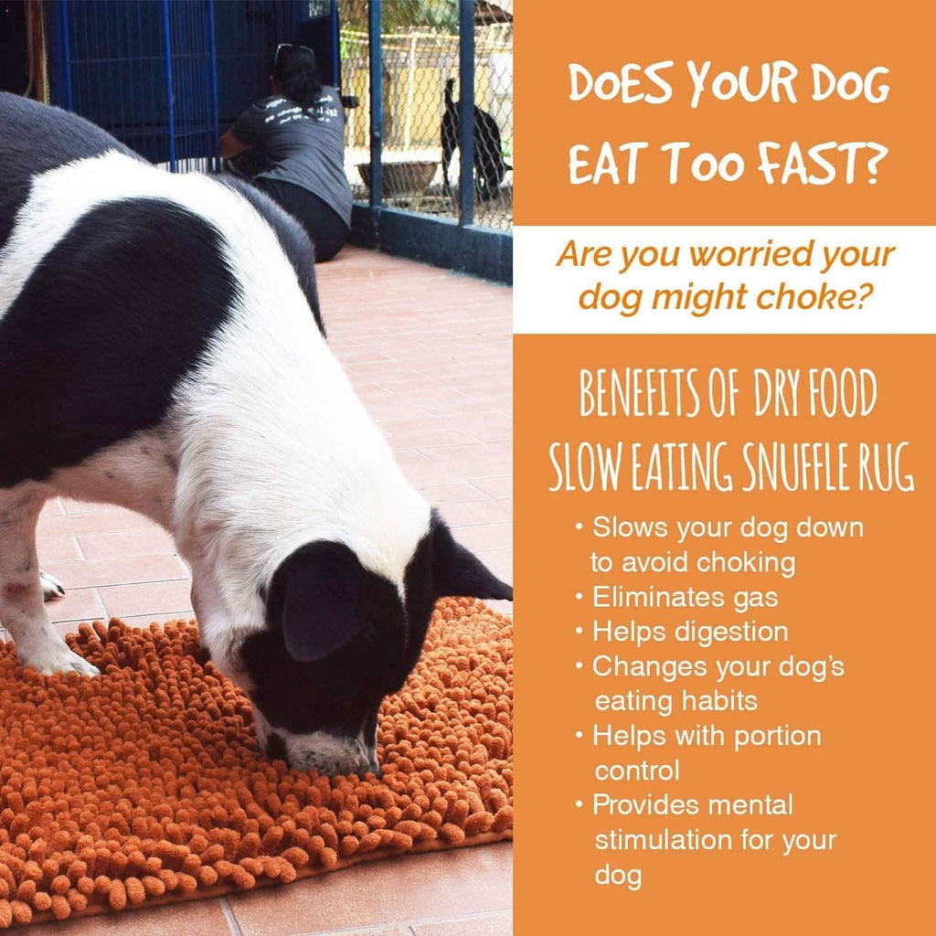 Notre tapis de fouille K9 Training Made Easy