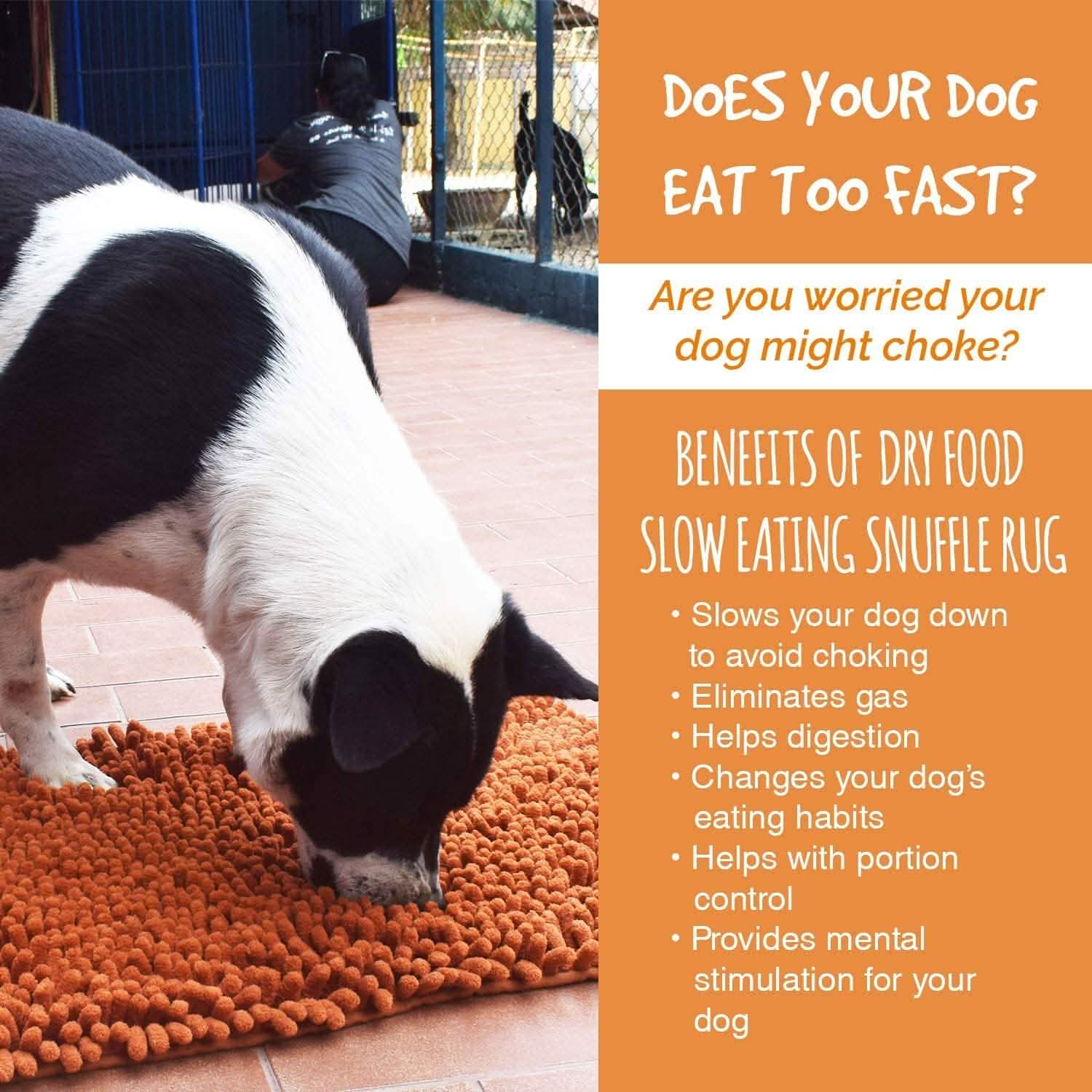 Notre tapis de fouille K9 Training Made Easy