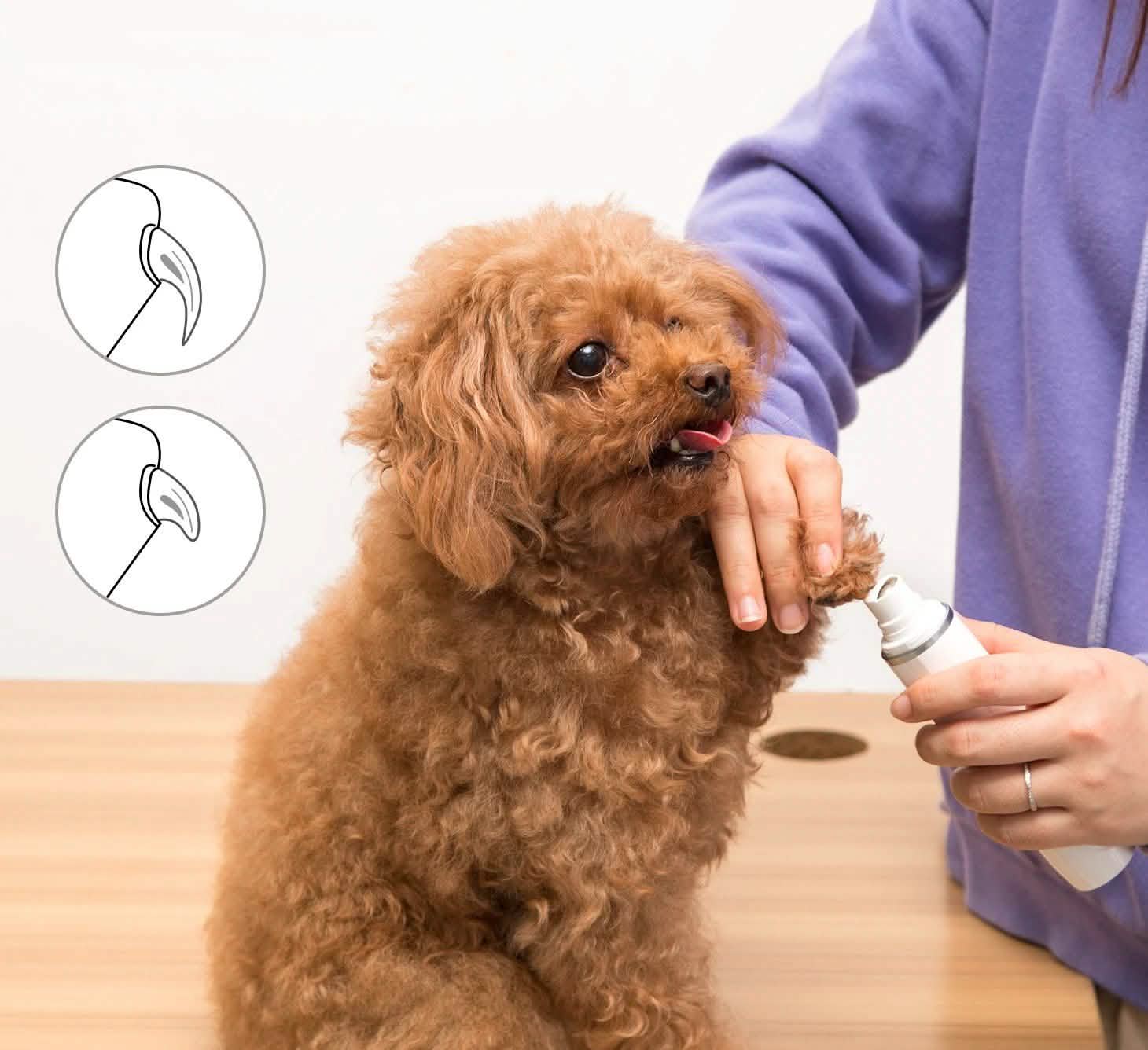 Kit d'outils pour coupe-ongles rechargeable Ownpets pour animaux de compagnie