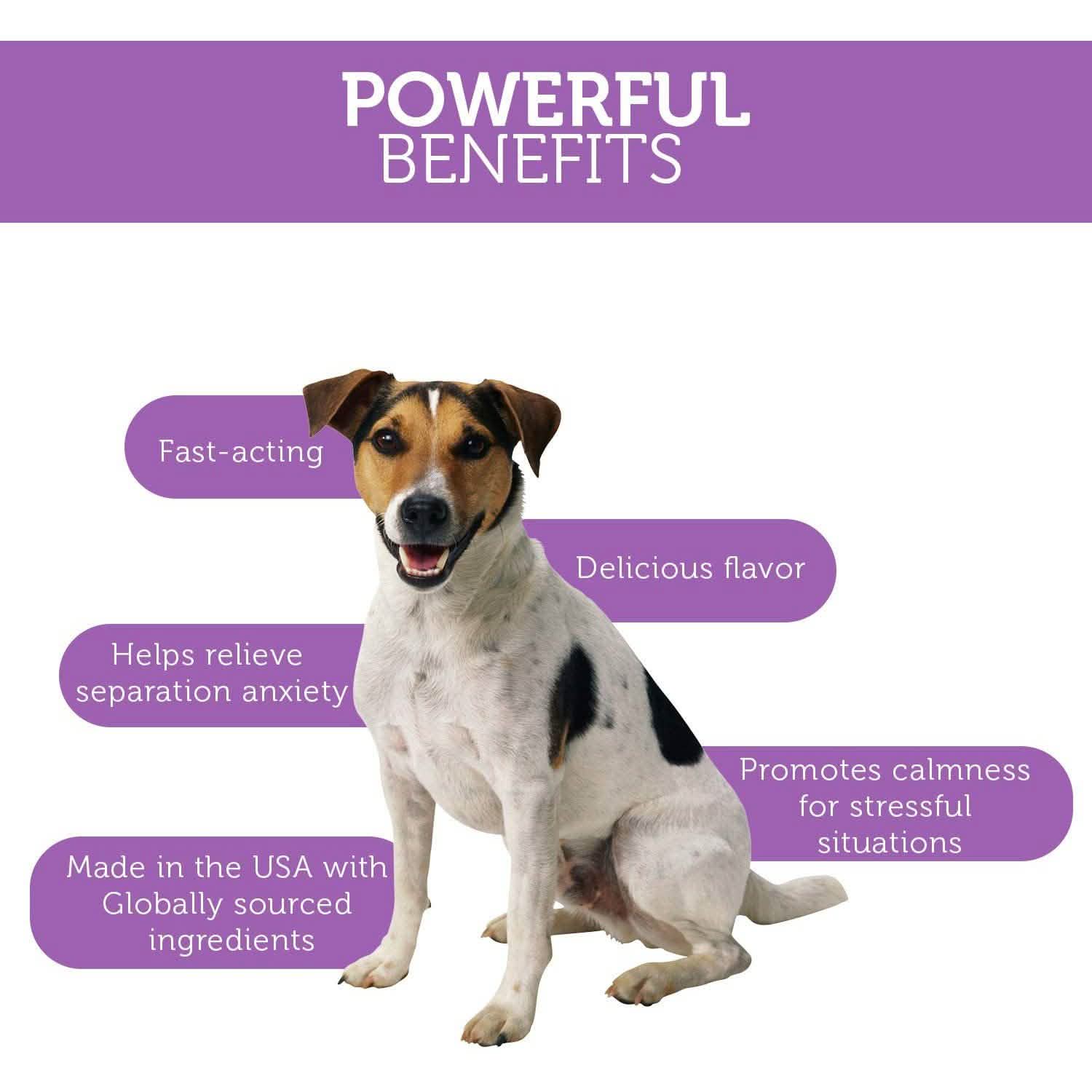 Friandises apaisantes Paws & Pals pour chiens - Supplément anti-anxiété pour animaux de compagnie