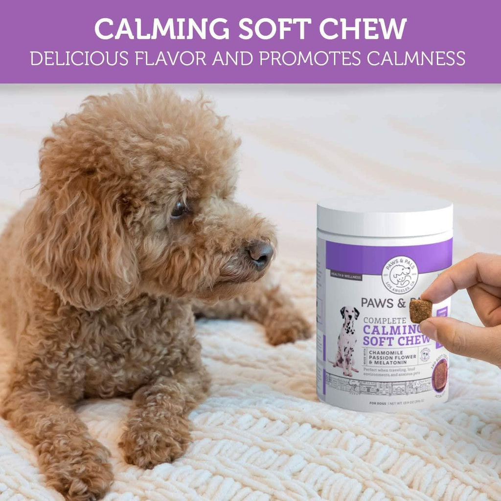Friandises apaisantes Paws & Pals pour chiens - Supplément anti-anxiété pour animaux de compagnie