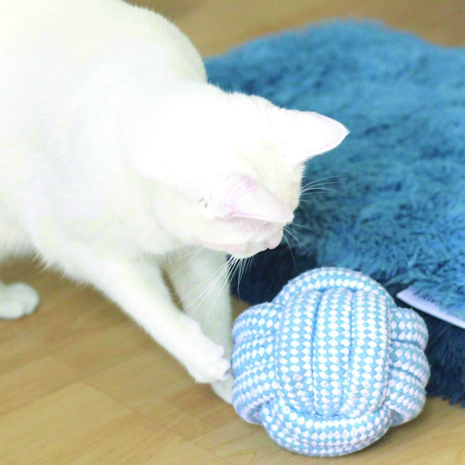 Jouets à mâcher pour chien Paws & Pals, jouet en corde tressée en coton indestructible