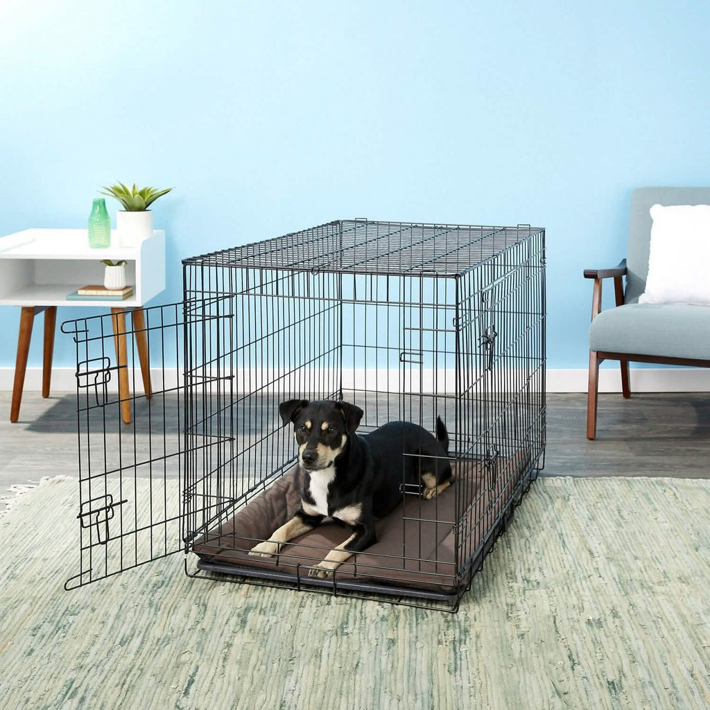 Tapis pour caisse de transport auto-chauffant Paws & Pals