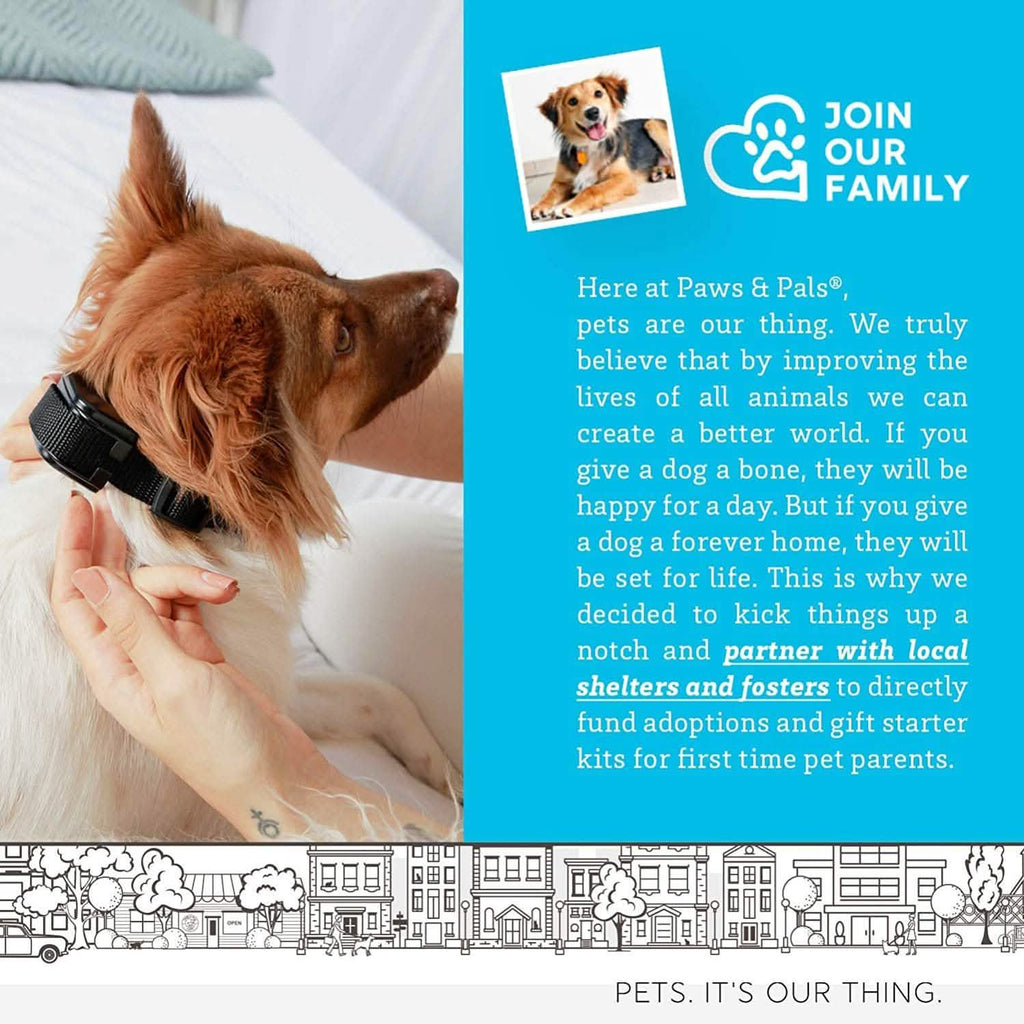 Collier de dressage Paws & Pals pour chiens