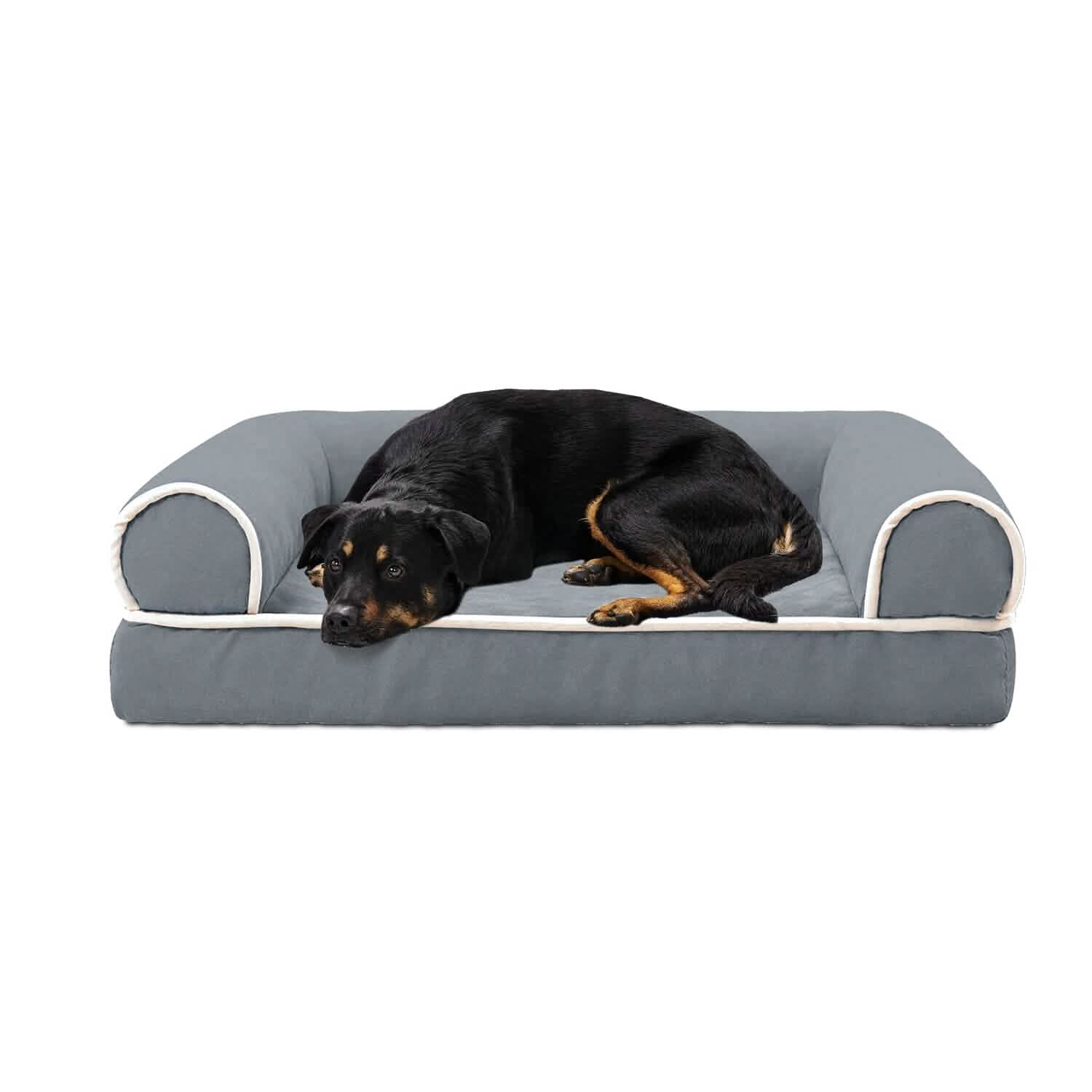 Coussin de canapé pour animaux