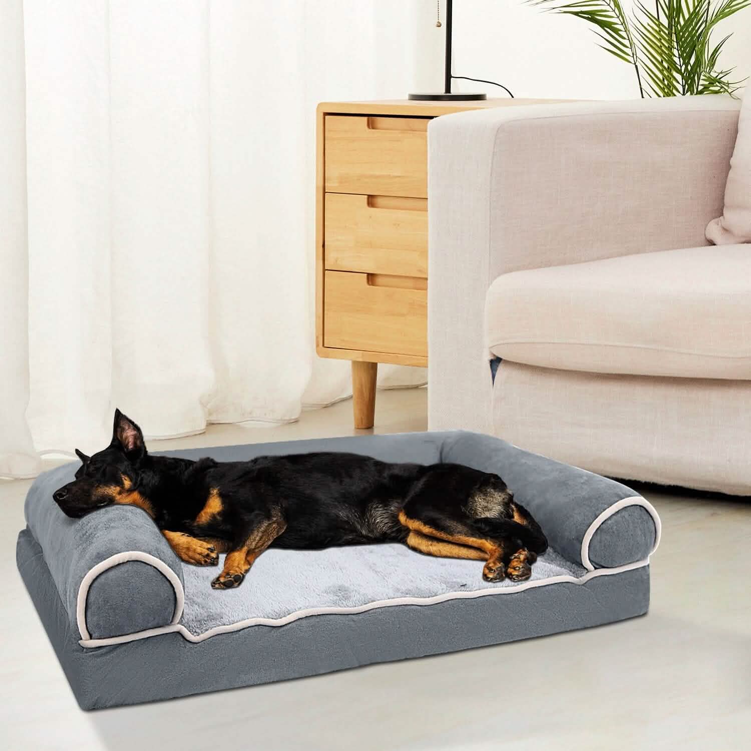 Coussin de canapé pour animaux
