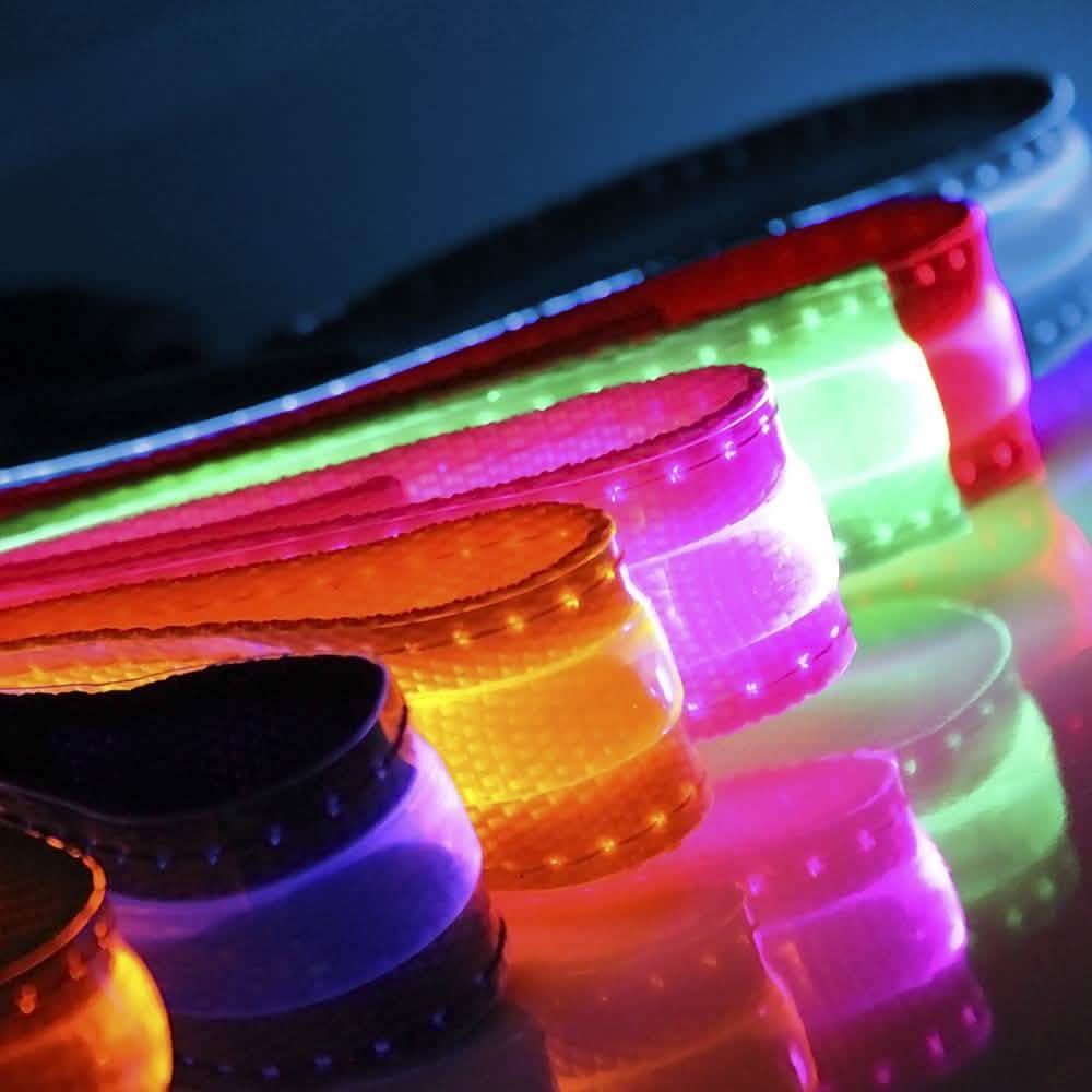 Collier lumineux pour animaux de compagnie