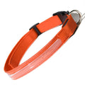 Collier lumineux pour animaux de compagnie