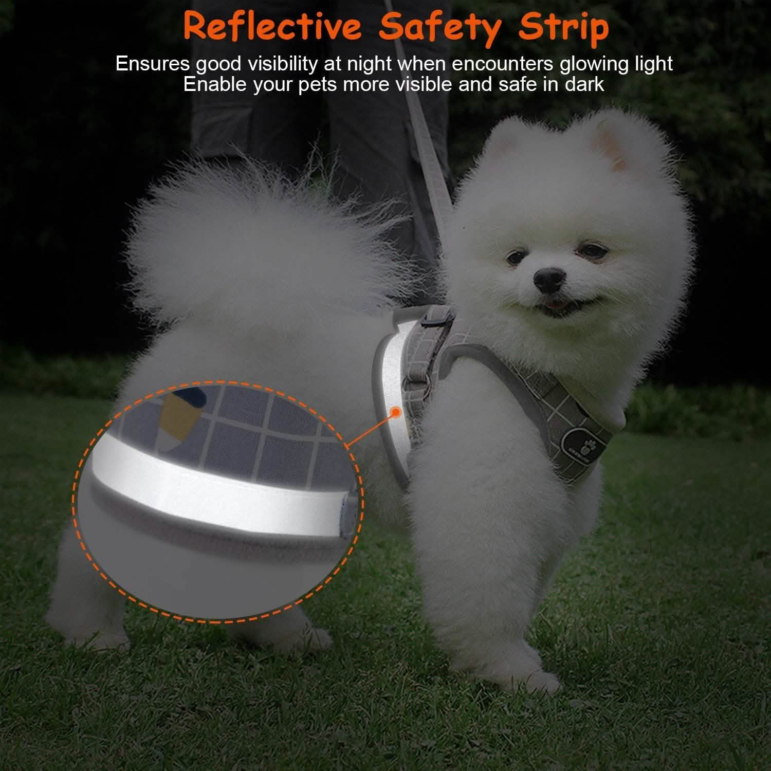 Harnais en maille pour animaux de compagnie, laisse pour chien, gilet pour chiot