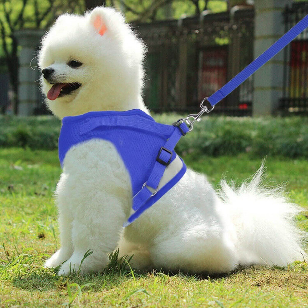 Harnais en maille pour animaux de compagnie, laisse pour chien, gilet pour chiot