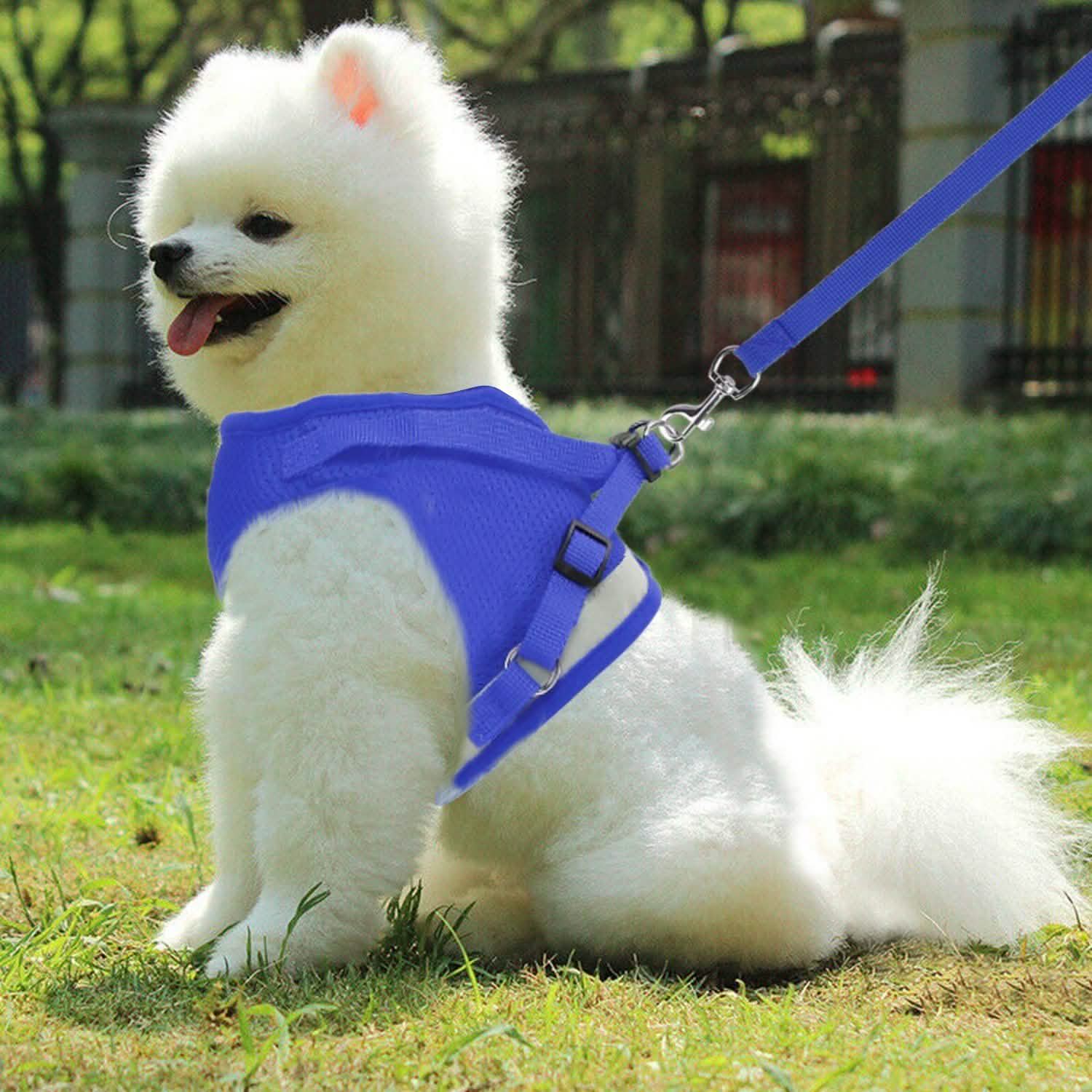 Harnais en maille pour animaux de compagnie, laisse pour chien, gilet pour chiot