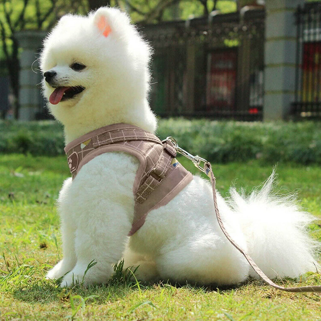 Harnais en maille pour animaux de compagnie, laisse pour chien, gilet pour chiot