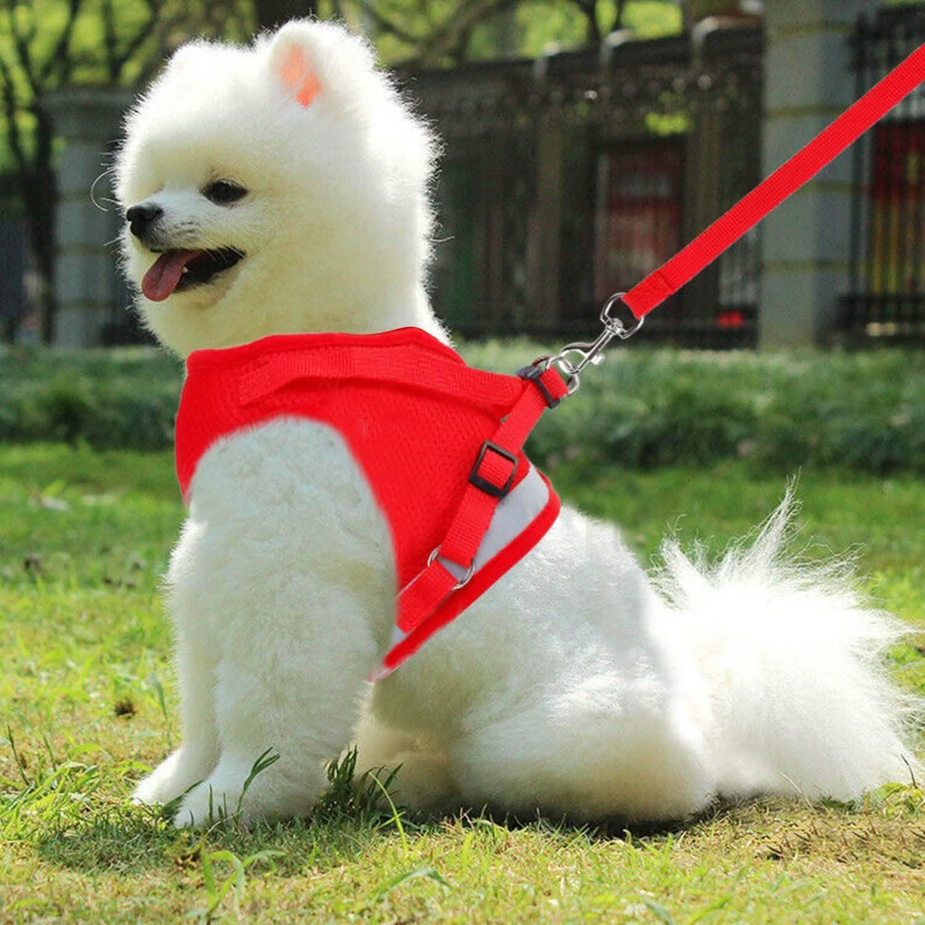 Harnais en maille pour animaux de compagnie, laisse pour chien, gilet pour chiot