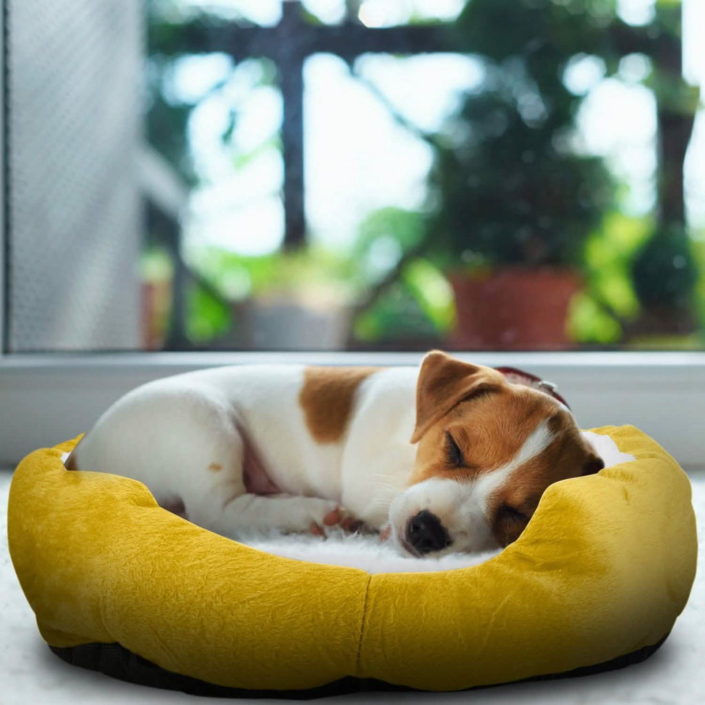 Lit douillet pour chiot et chat en polaire douce et chaude