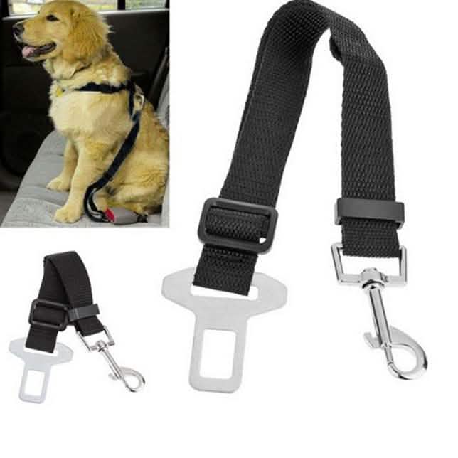 Ceinture de sécurité pour animaux de compagnie en voiture