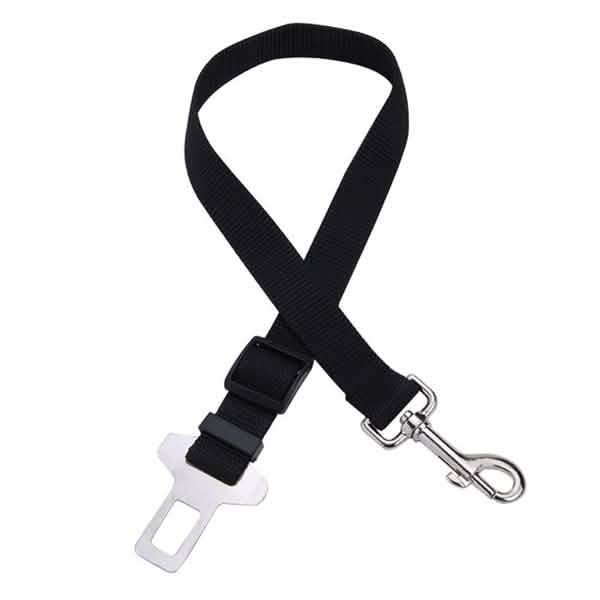 Ceinture de sécurité pour animaux de compagnie en voiture