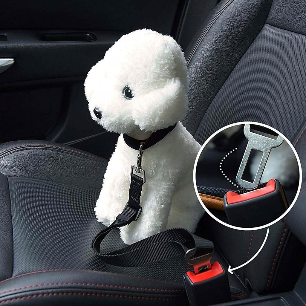 Ceinture de sécurité pour animaux de compagnie en voiture