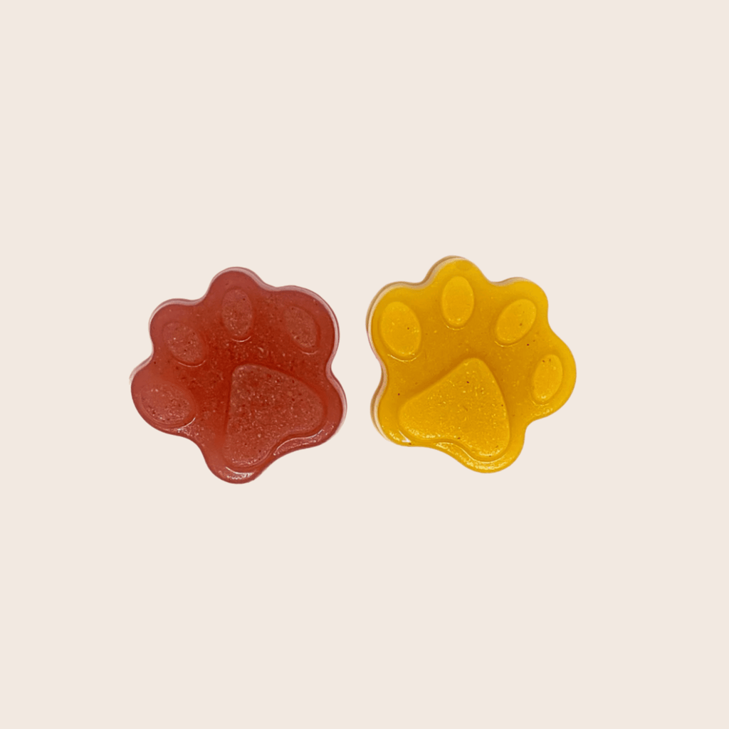 Moules à friandises pour animaux de compagnie