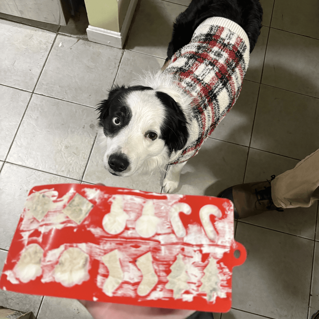 Moules à friandises pour animaux de compagnie