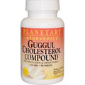 Planetary Ayurvedics - Complexe Cholestérol Guggul 375 mg. - 90 Comprimés