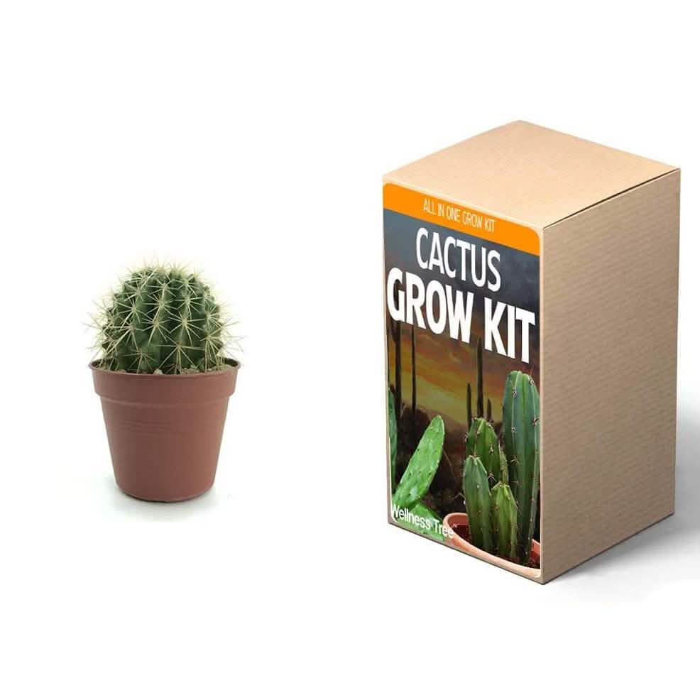 Kit de culture : Plantez votre propre jardin
