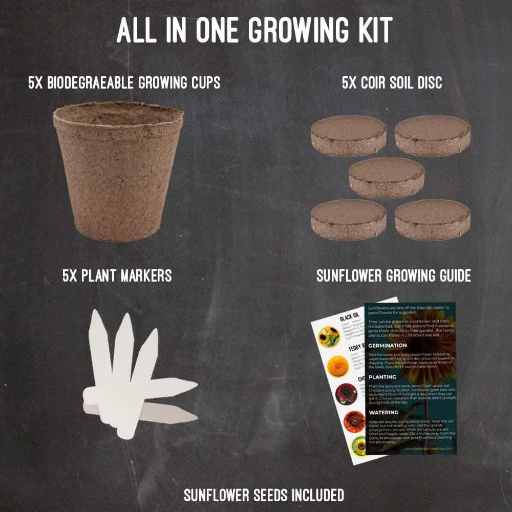 Kit de culture : Plantez votre propre jardin