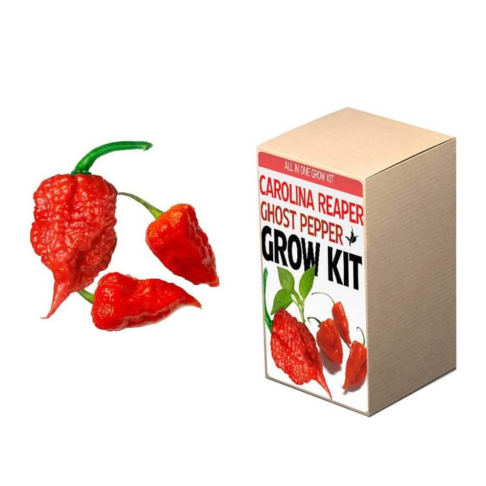 Kit de culture : Plantez votre propre jardin
