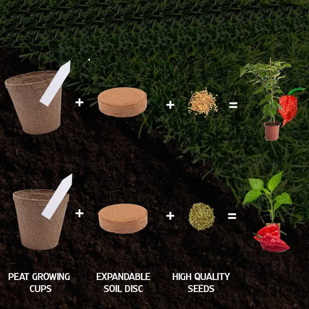 Kit de culture : Plantez votre propre jardin