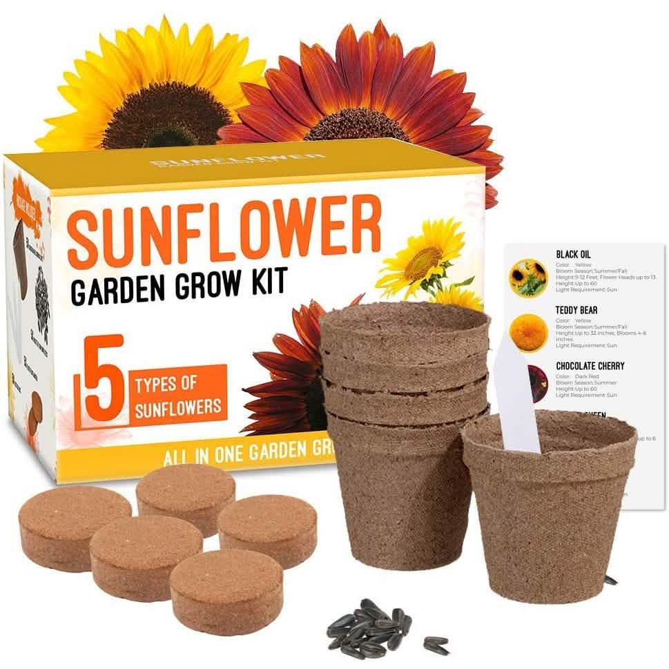 Kit de culture : Plantez votre propre jardin