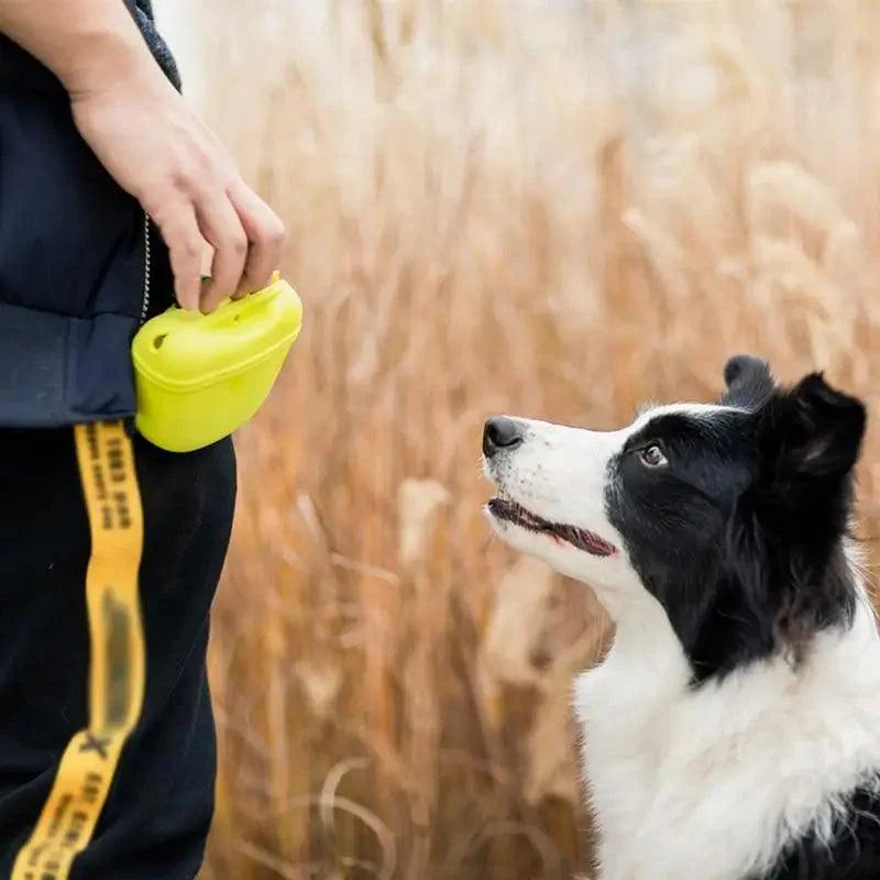 Pochette portable pour friandises de dressage pour chiens, avec clip solide, pochette de rangement pour nourriture d'extérieur, sacs banane pour animaux de compagnie