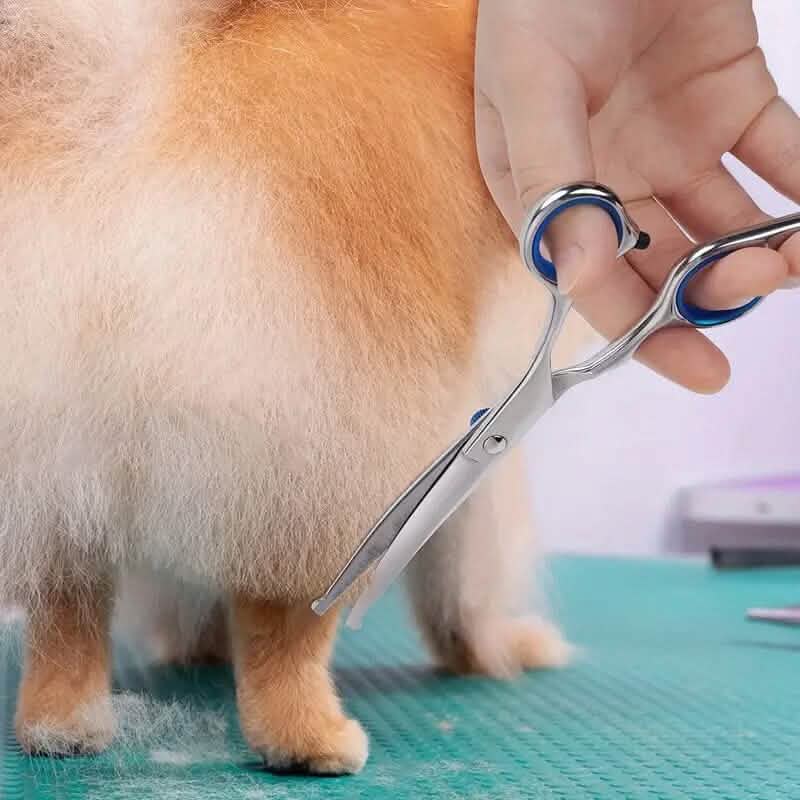 Ciseaux de toilettage haut de gamme pour animaux de compagnie