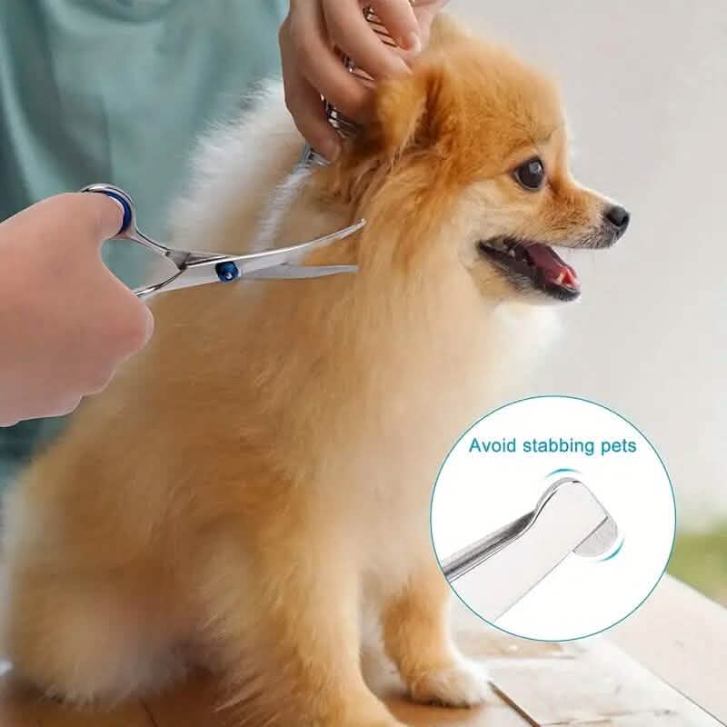 Ciseaux de toilettage haut de gamme pour animaux de compagnie