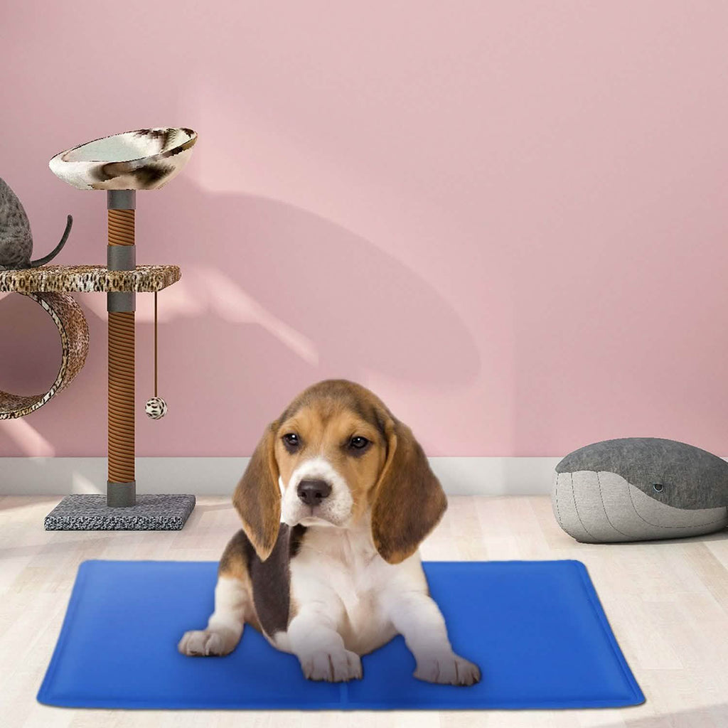 Tapis de refroidissement auto-rafraîchissant en gel activé par la pression pour animaux de compagnie
