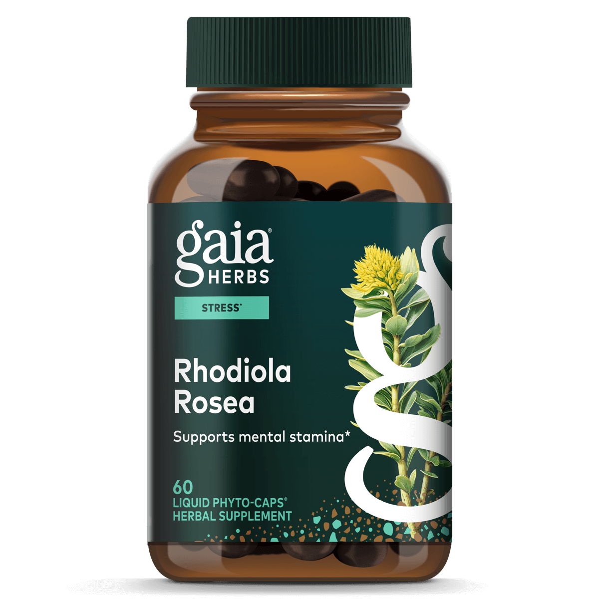 Gaia Herbs Rhodiola Rosea - Stress Support Supplement Traditionally for Supporting Healthy Stamina and Endurance - 60 Vegan Liquid Phyto-Capsules (30-Day Supply)