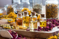 Flower Essence Services Dandelion Dynamo 4oz - FS0420