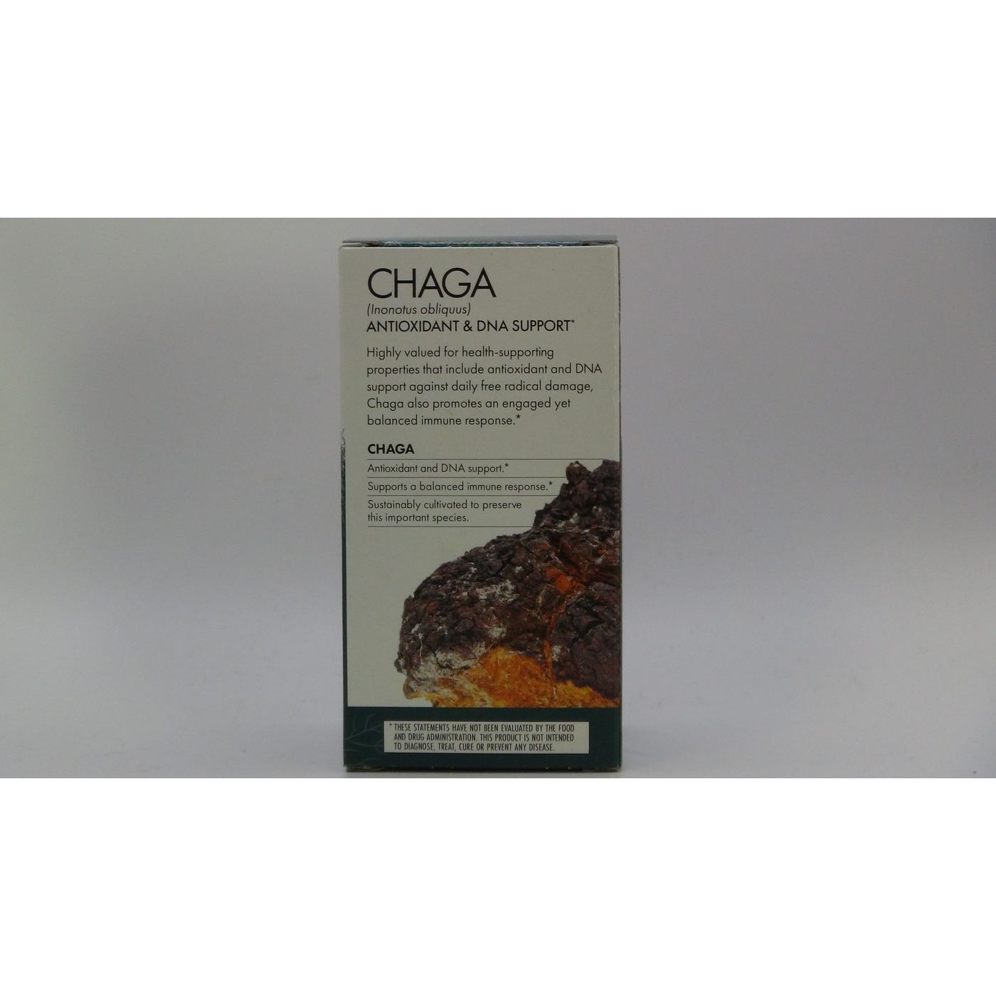 Host Defense Chaga 120 gélules végétales