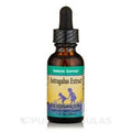 Astragale Extra Sans Alcool pour Enfants 30 ml
